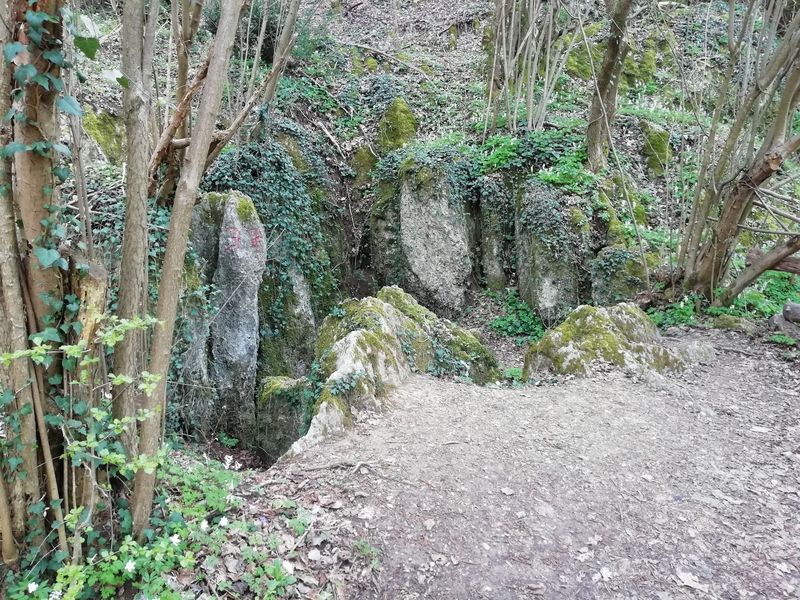 Parco dei Gessi, Buca delle Lumache